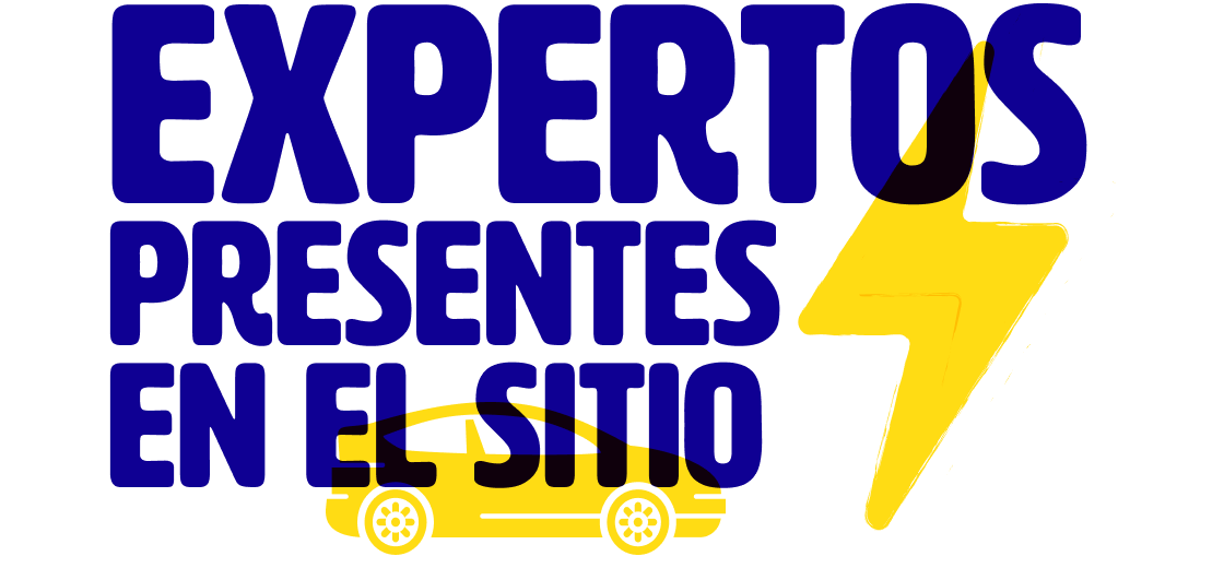 expertos presentes en el sitio